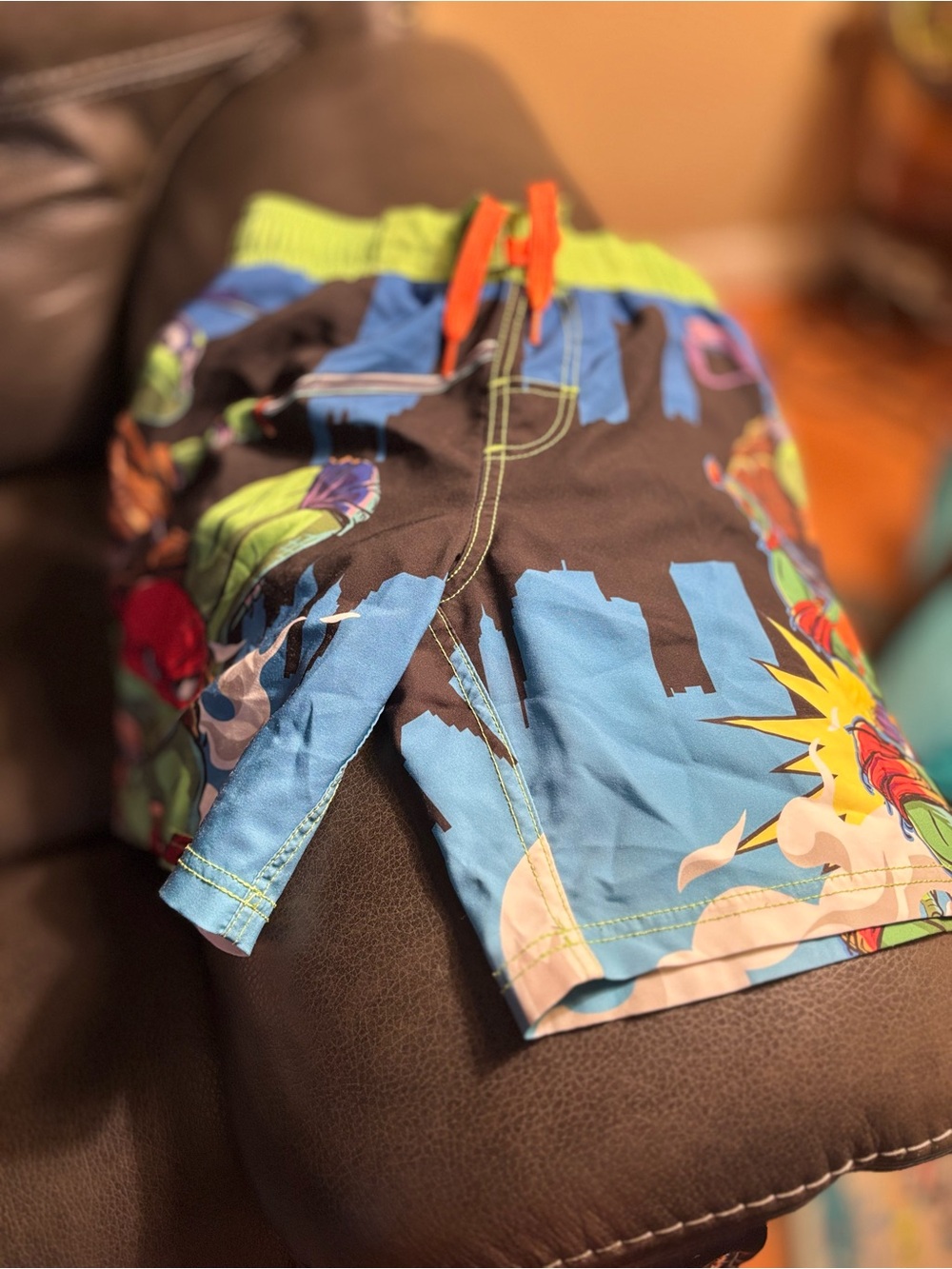 Nickelodeon Teenage Mutant NinjaTurtles Green Swim Shorts